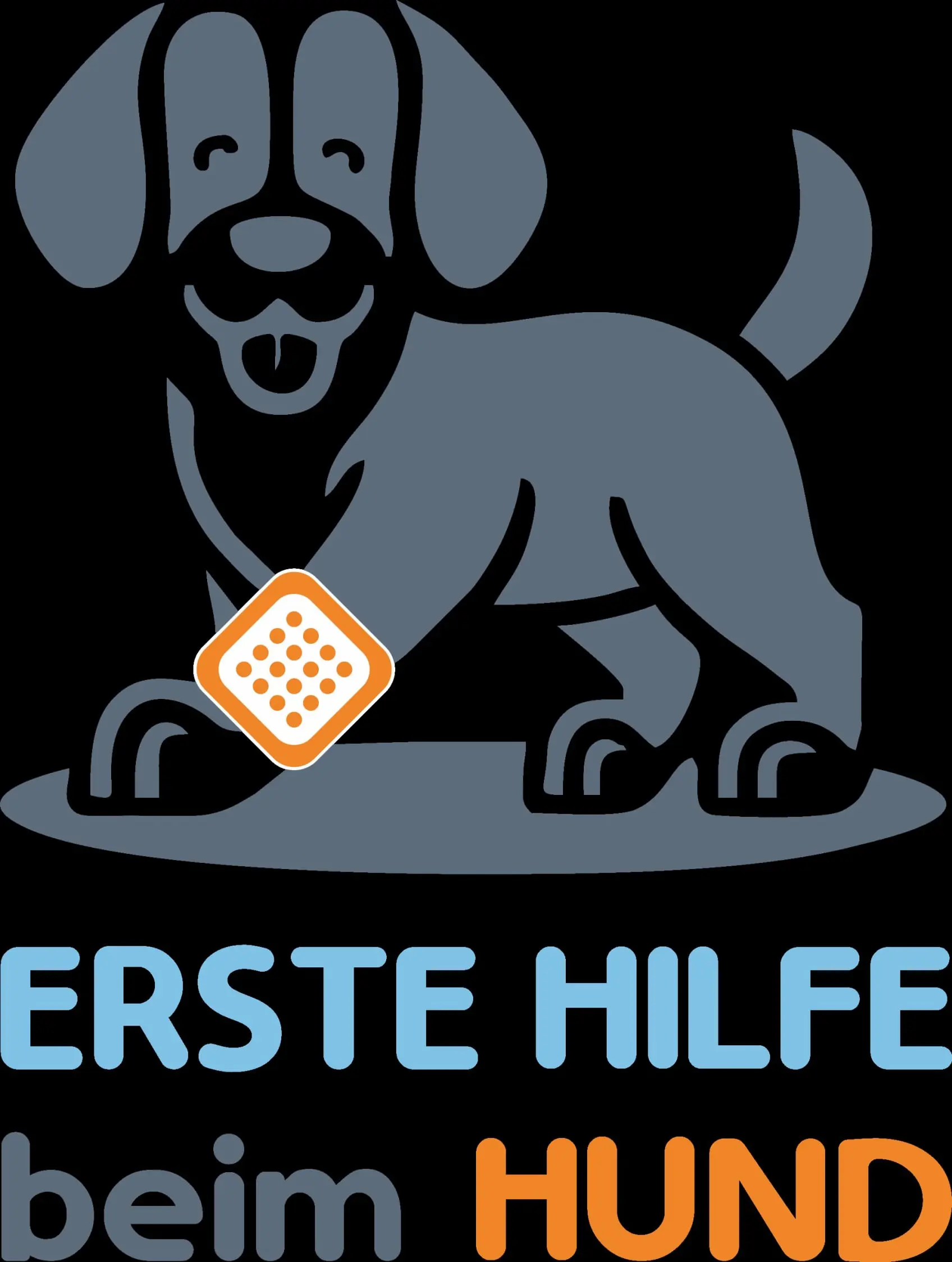 ErsteHilfebeimHund,Hundeschule,Hund,Hundeausbildung,